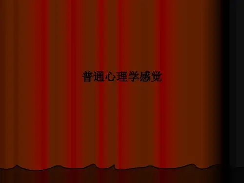 普通心理学感觉PPT课件