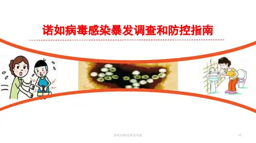 诺如病毒感染暴发调查和防控指南PPT幻灯片课件
