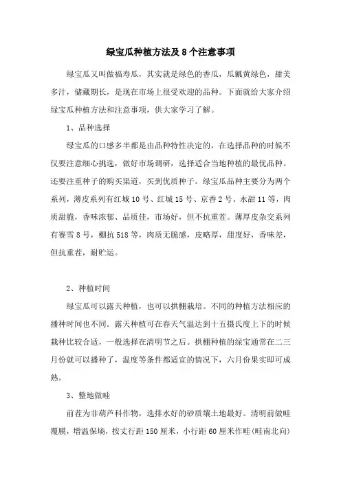 绿宝瓜种植方法及8个注意事项