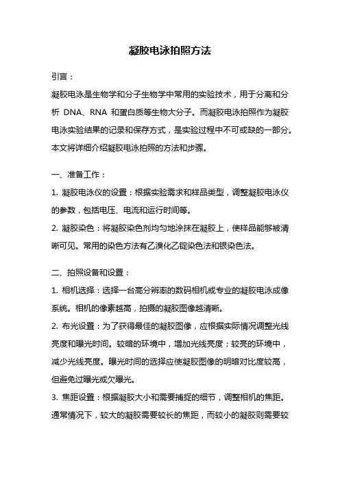 凝胶电泳拍照方法