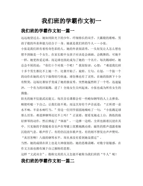我们班的学霸作文初一