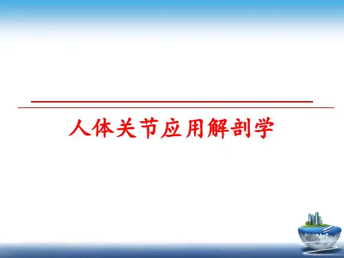最新人体关节应用解剖学