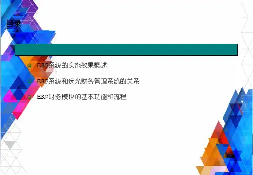 国家电网ERP财务模块讲座