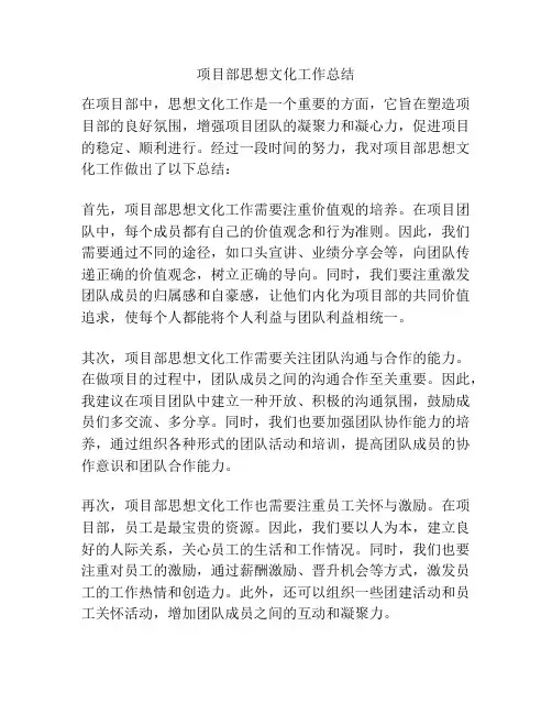 项目部思想文化工作总结