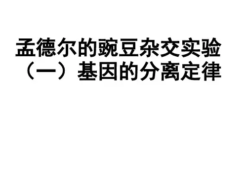高三孟德尔豌豆杂交实验(一)OK