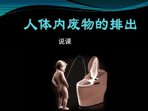 《人体内废物排出》【说课】.ppt