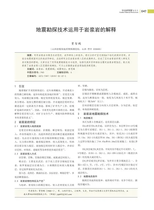 地震勘探技术运用于岩浆岩的解释