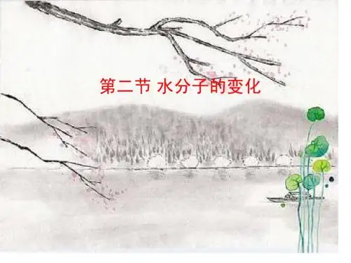 水分子的变化的课件