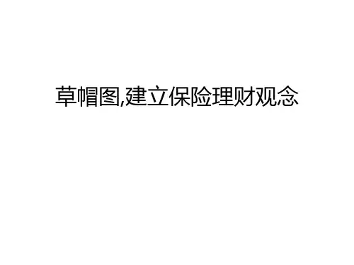 保险理念导入草帽图