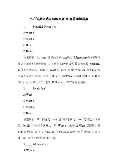 小升初英语感叹句练习题20题答案解析版