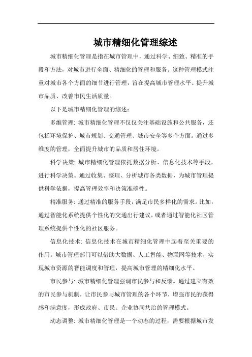 城市精细化管理 综述