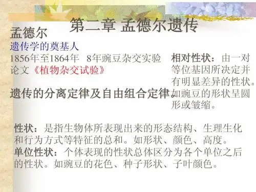 普通遗传学_第二章_孟德尔遗传
