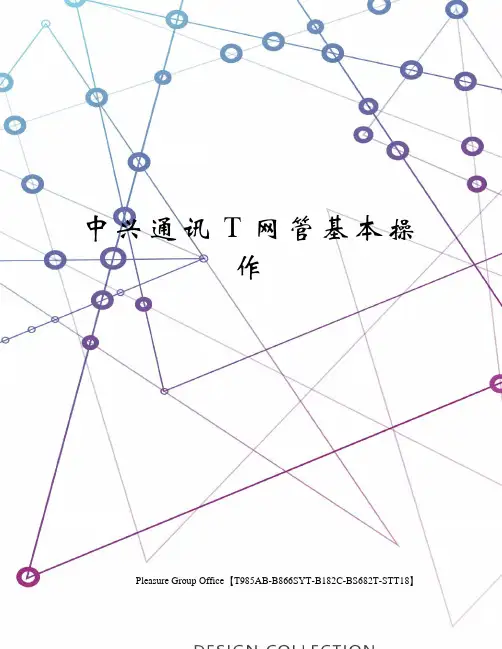 中兴通讯T网管基本操作
