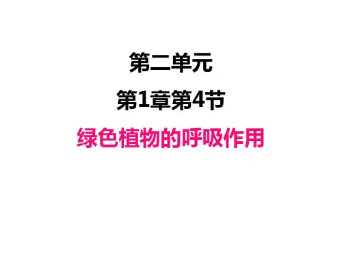初中生物济南版七年级上册教学课件 绿色植物的呼吸作用