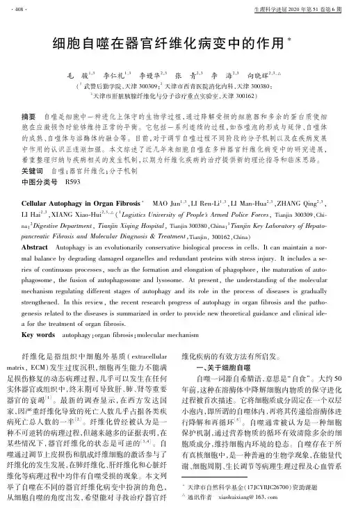 细胞自噬在器官纤维化病变中的作用