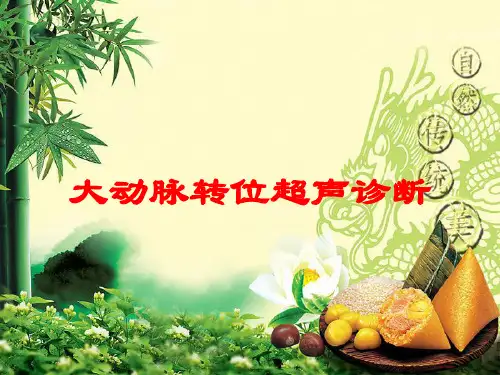 大动脉转位超声诊断培训课件