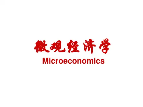 微观经济学  第3章  弹性理论及应用