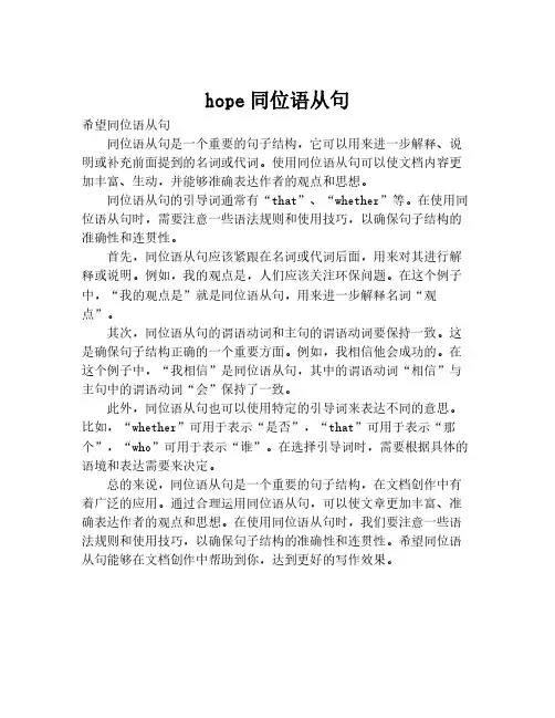 hope同位语从句