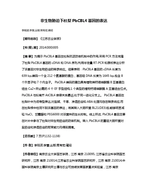 非生物胁迫下杜梨PbCBL4基因的表达