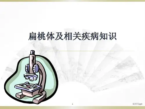 扁桃体及相关内容PPT课件