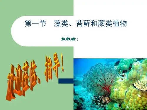 藻类、苔藓和蕨类植物人教版七年级上第三单元第一章第一节