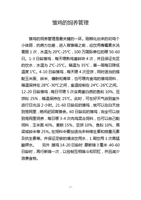 雏鸡的饲养管理