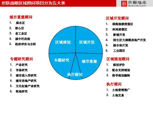 世联地产战略顾问案例库 (NXPowerLite)精品PPT课件