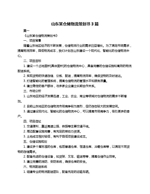 山东某仓储物流策划书3篇