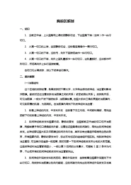 胸前区解剖