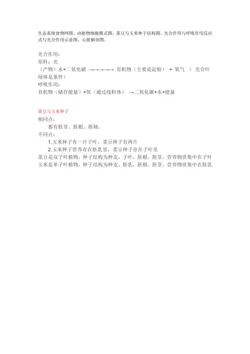 生态系统食物网图