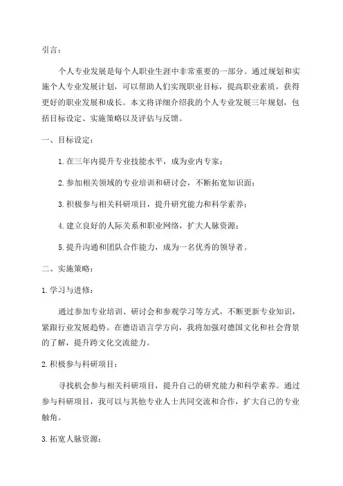 个人专业发展三年规划