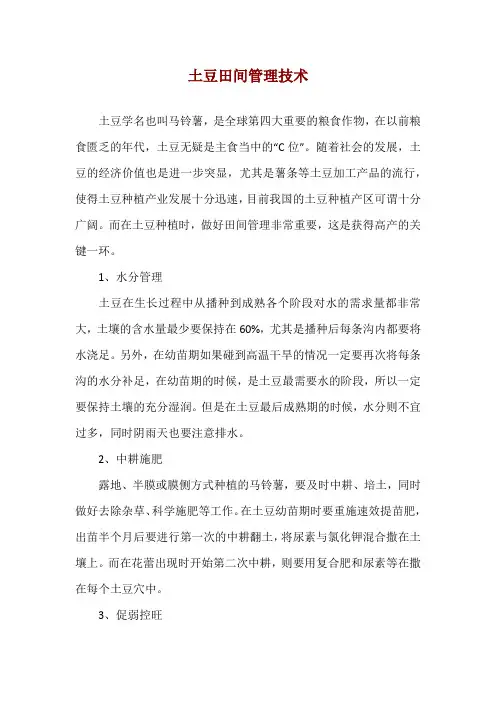 土豆田间管理技术