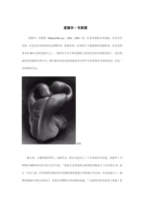 爱德华韦斯顿作品赏析