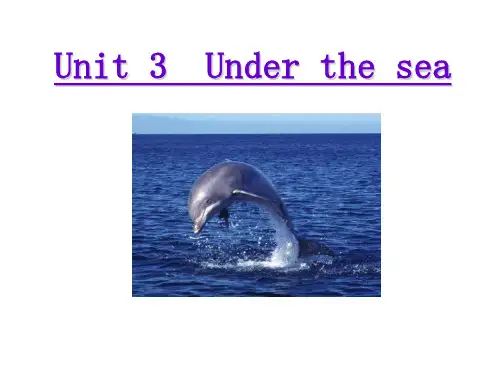 人教英语选修7Unit3 Reading(共26张PPT)