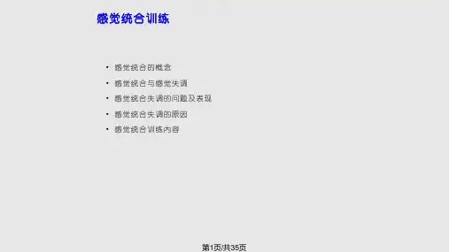 感觉统合训练PPT课件