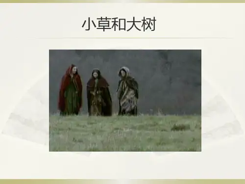 小草和大树PPT课件