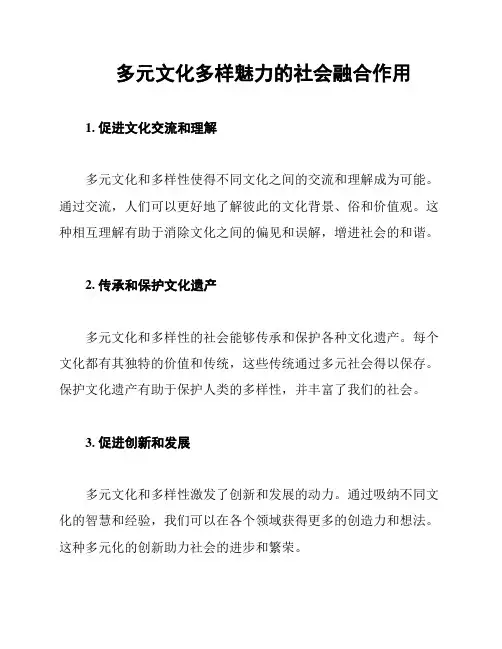 多元文化多样魅力的社会融合作用
