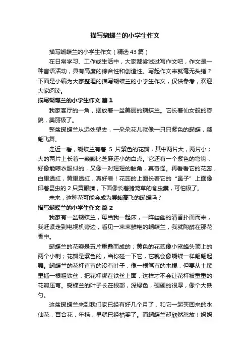 描写蝴蝶兰的小学生作文（精选43篇）