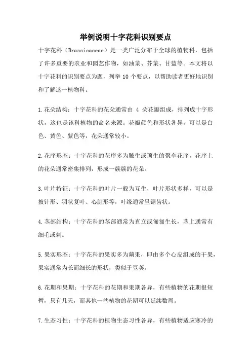 举例说明十字花科识别要点