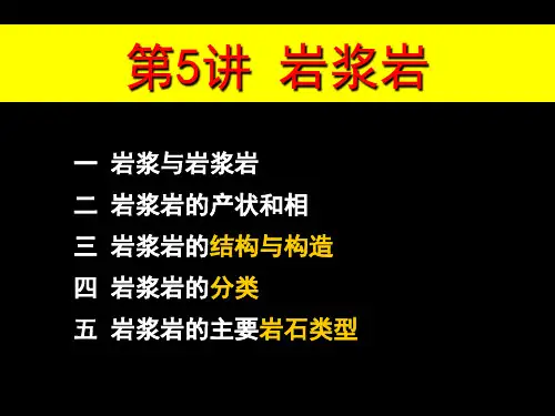 岩浆岩岩石学