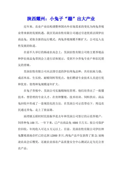 陕西耀州：小兔子“蹦”出大产业