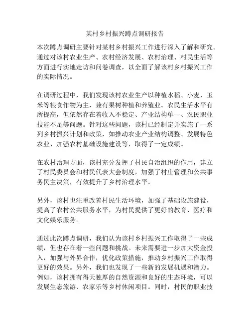 某村乡村振兴蹲点调研报告