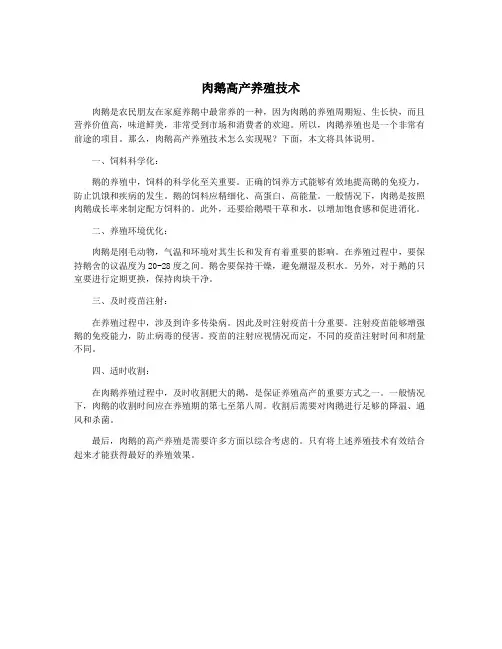 肉鹅高产养殖技术