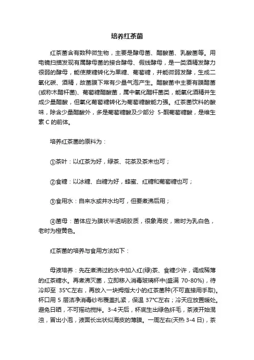 培养红茶菌