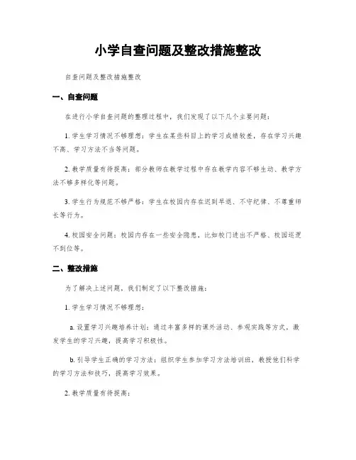 小学自查问题及整改措施整改