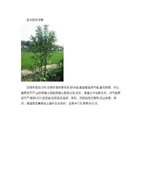 北方常用绿化植物.