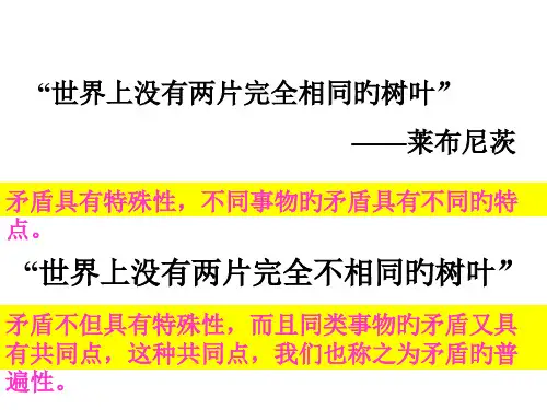高二政治矛盾普遍性和特殊性的关系省名师优质课赛课获奖课件市赛课一等奖课件