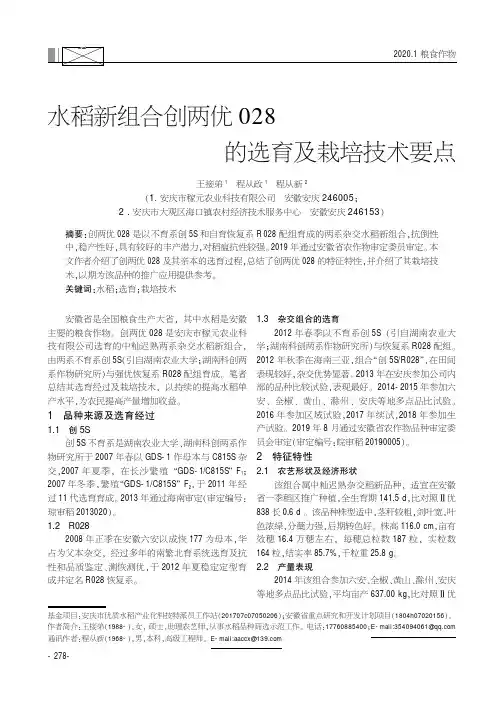 水稻新组合创两优028的选育及栽培技术要点