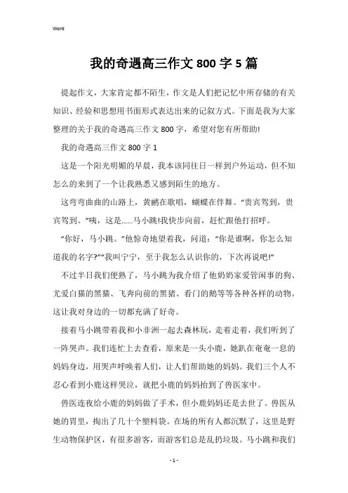 我的奇遇高三作文800字5篇