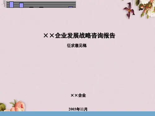 某企业的发展战略咨询报告(ppt 113页)